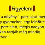 Kiadták a figyelmeztetést! EZ a növény 1 perc alatt megöl egy gyermeket, egy felnőttet 15 perc alatt, mégis nagyon sokan tartják még mindig otthon!