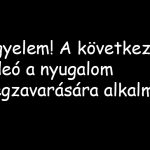 Ma reggel elütöttek az átjárón egy családot – Csak erős idegzetűeknek!