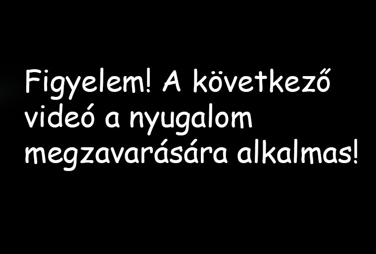 Ma reggel elütöttek az átjárón egy családot – Csak erős idegzetűeknek!