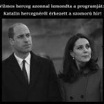 Vilmos herceg azonnal lemondta a programját: Katalin hercegnéről érkezett a szomorú hír!