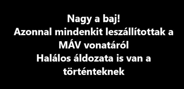 Nagy a baj! Azonnal mindenkit leszállítottak a MÁV vonatáról – Halálos áldozata is van a történteknek