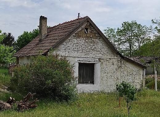 Még a saját barátaim is kiröhögtek, amikor megtudták, hogy csak erre a rozoga telekre volt pénzem. Nézzék csak mit hoztam ki belőle, belülről főként… 